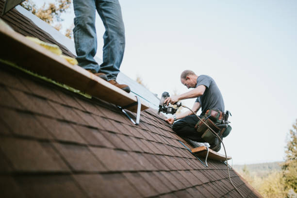 Professional Roofing Contractor in Evans, GA